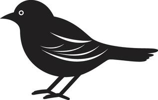 rápido gaivota símbolo falcões serenata crachá vetor