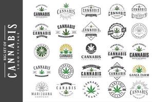 conjunto vintage emblema e distintivo do logotipo de cannabis de folha de maconha vetor