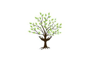 mãos humanas e árvore com folhas verdes. logotipo, símbolo, ícone, ilustração, vetor, modelo, design vetor