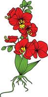 vermelho orquídea ramo vetor flor, ilustração do lindo vermelho orquídea flor
