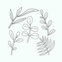 conjunto do eucalipto galhos e folhas. mão desenhado vetor ilustração.