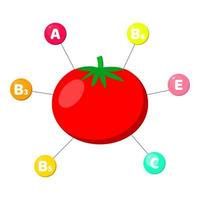 vitaminas contidas em vegetais. tomate. vetor