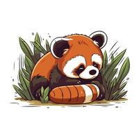 vermelho panda sentado em a grama. vetor ilustração do uma fofa animal.
