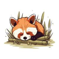 fofa vermelho panda deitado em bambu. vetor desenho animado ilustração.