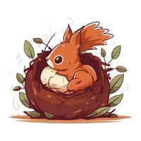 vetor ilustração do uma fofa vermelho esquilo dentro uma ninho com ovos.
