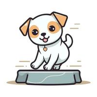 jack russell terrier cachorro pulando Fora do a caixa desenho animado personagem vetor