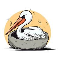 pelicano. vetor ilustração do uma pelicano dentro uma ninho.