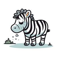 zebra vetor ilustração. isolado zebra em branco fundo.