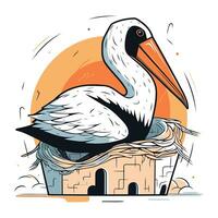 pelicano dentro a ninho. vetor ilustração dentro desenho animado estilo.