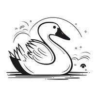 cisne em a lago. vetor ilustração dentro Preto e branco cores.