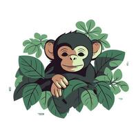 fofa desenho animado macaco com folhas em branco fundo. vetor ilustração.