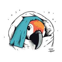 mão desenhado vetor ilustração do uma papagaio dentro uma dormindo bolsa.