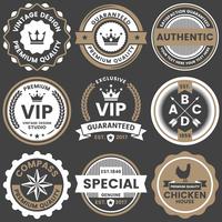 Vintage Retro Vector Logo para banner