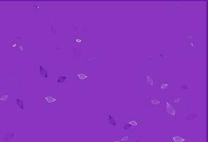 pano de fundo do doodle do vetor roxo claro.