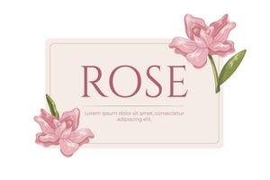 decorativo botânico rótulo ilustração. floral arranjo, quadro, Armação do Rosa desenho animado rosa flores vetor isolado Projeto elemento para embalagem.