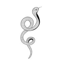 tatuagem serpente. vetor estoque ilustração. serpente silhueta ilustração. Preto serpente. isolado em uma branco fundo.