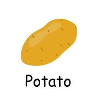 batata ilustração plano vetor. legumes flash card. elemento para cozinha, culinária, super mercado, saudável estilo de vida conceito vetor