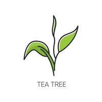 ícone de cor rgb da árvore do chá