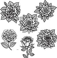 rosa flor clipart Preto branco imagens. mão desenhado rosas. esboço rosa flores com folhas vetor