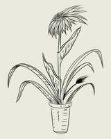 desenhado girassol plantar, vetor silhueta ilustração