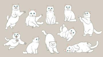 fofa desenho animado branco gato conjunto vetor