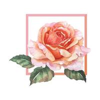 uma moldura de aquarela rosa laranja vetor