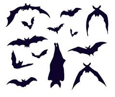conjunto do silhuetas do diferente morcegos vetor
