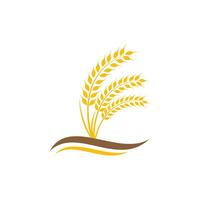 vetor de trigo agrícola