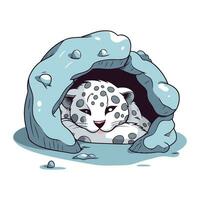 desenho animado vetor ilustração do uma neve leopardo dormindo dentro uma caverna.