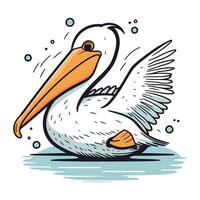 pelicano vetor ilustração. mão desenhado esboço do pelicano.