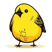 vetor ilustração do uma fofa pequeno amarelo pássaro isolado em branco fundo.