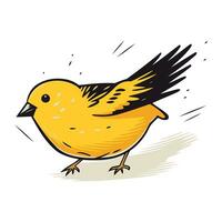 vetor ilustração do uma pequeno amarelo pássaro em uma branco fundo. mão desenhando