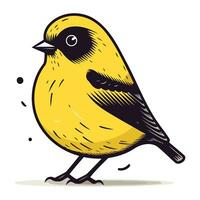 vetor ilustração do uma amarelo pássaro. isolado em branco fundo.