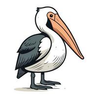 pelicano vetor ilustração. desenho animado pelicano isolado em branco fundo.