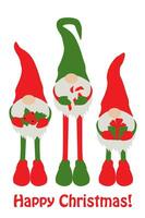 plano Natal gnomos. três gnomos estão segurando Natal Unid. fofa Natal gnomo camisa Projeto e casa decoração para inverno período de férias. vetor