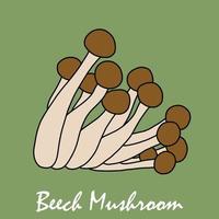 doodle desenho de esboço à mão livre de vegetal de cogumelo de faia. vetor