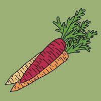 doodle desenho de esboço à mão livre de vegetais de cenoura. vetor