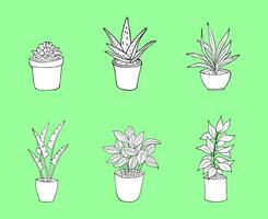 6 Preto e branco ilustrações do casa plantas dentro a Panela. mão desenhado plantas de interior dentro a Panela. isolado em uma verde fundo. vetor ilustração