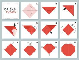 tomate origami esquema tutorial comovente modelo. origami para crianças. degrau de degrau quão para faço uma fofa origami vegetal. vetor ilustração.