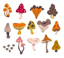 desenho animado cor diferente tipos floresta abstrato cogumelo ícone definir. vetor