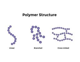 tipos do proteína estrutura. proteínas estão biológico polímeros composto do amino ácidos. vetor