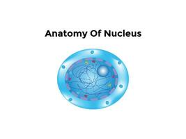 átomo científico poster com atômico estrutura núcleo do prótons e nêutrons, orbital elétrons. vetor ilustração. símbolo do nuclear energia, científico pesquisar, e molecular química.