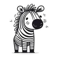 fofa zebra doodle. vetor ilustração dentro desenho animado estilo