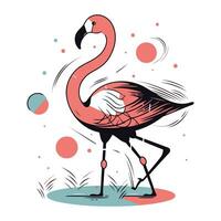 flamingo. vetor ilustração. isolado em branco fundo.