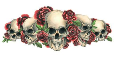 humano crânios com vermelho rosas e folhas. mão desenhado aguarela ilustração. isolado composição em uma branco fundo. vetor