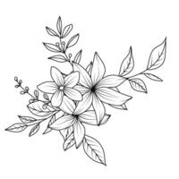 vetor peônia flor isolado em branco fundo. elemento para convite projeto, cumprimento cartões e têxtil Projeto