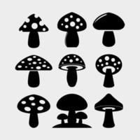 conjunto de cogumelos ilustrado em fundo branco vetor