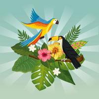 papagaio com tucano e folhas da natureza vetor