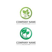 logotipos de folha de árvore verde ecologia design logotipo da natureza vetor
