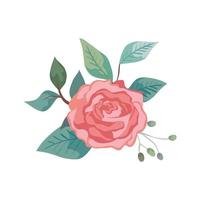 rosa fofa com ícone isolado natural de folhas vetor